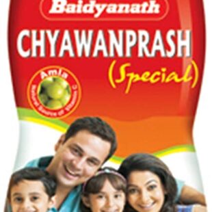 BAIDYANATH CHYAWANPRASH SPECIAL 500GM