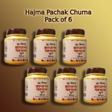 HAJMA PACHAK CHURNA 100GM PACK OF 6